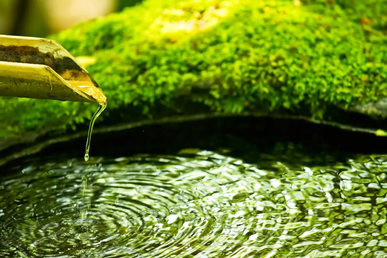 書道の美しい作品